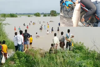 Fishing in Medivagu At Mulugu