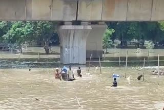yamuna river below danger mark in delhi