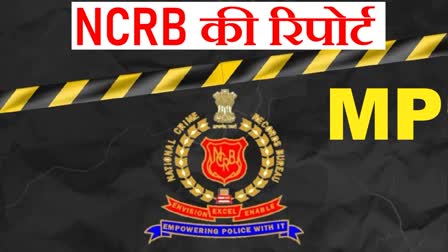 NCRB report mp