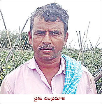 Andhra pradesh farmer success story