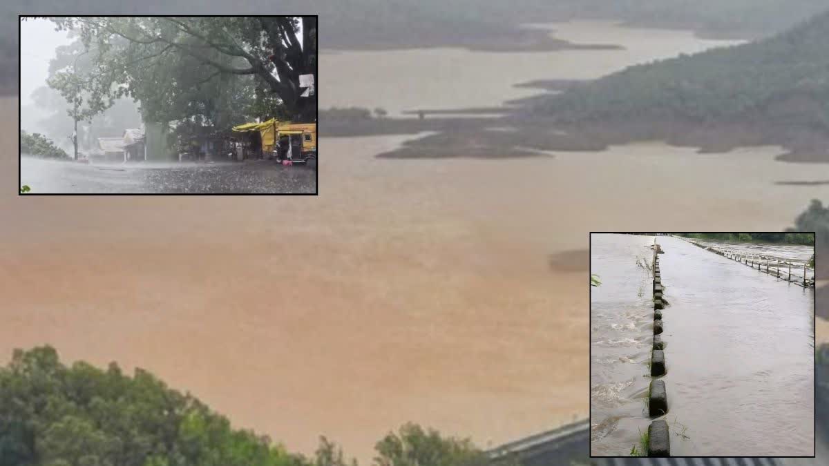 Maharashtra rain updates Red and Orange alert from IMD, koyna dam gates opened by 1 foot 6 inches