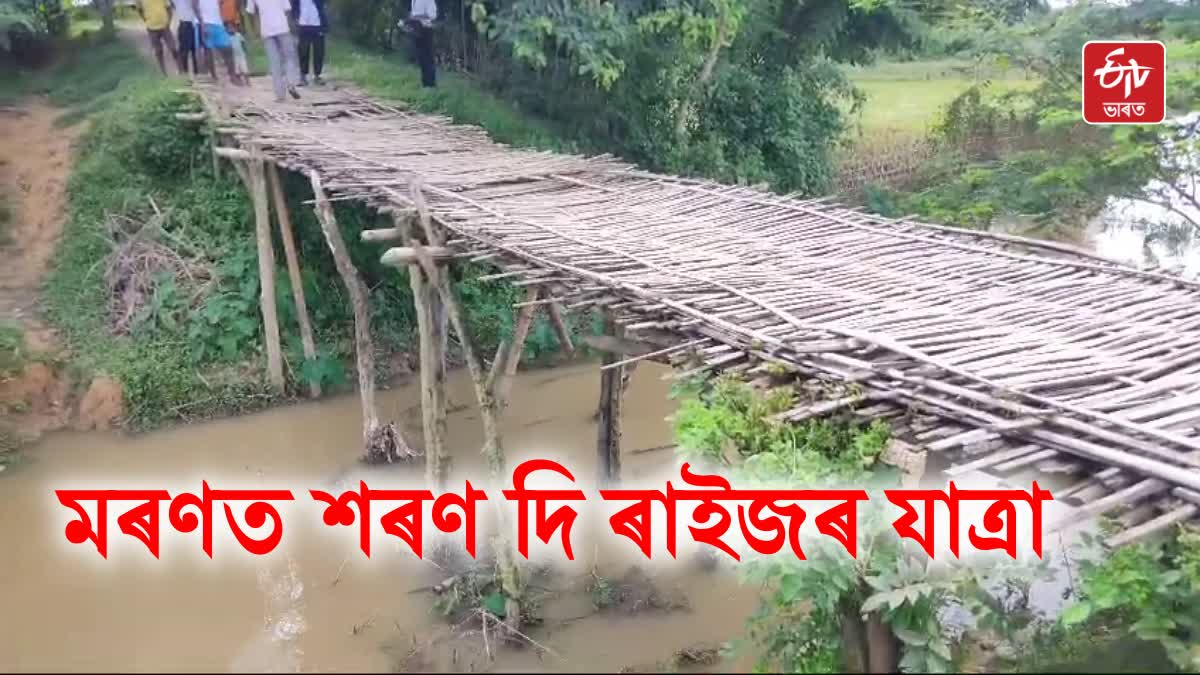 Bamboo Bridge