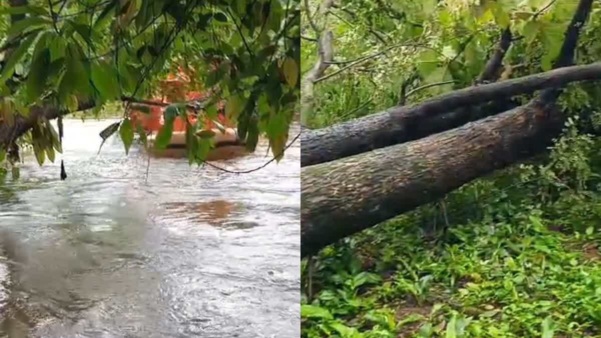 HEAVY RAIN IN KANNUR  കണ്ണൂരിൽ കനത്ത മഴയും കാറ്റും  RAIN UPDATES KERALA  കേരളത്തില്‍ കനത്ത മഴ