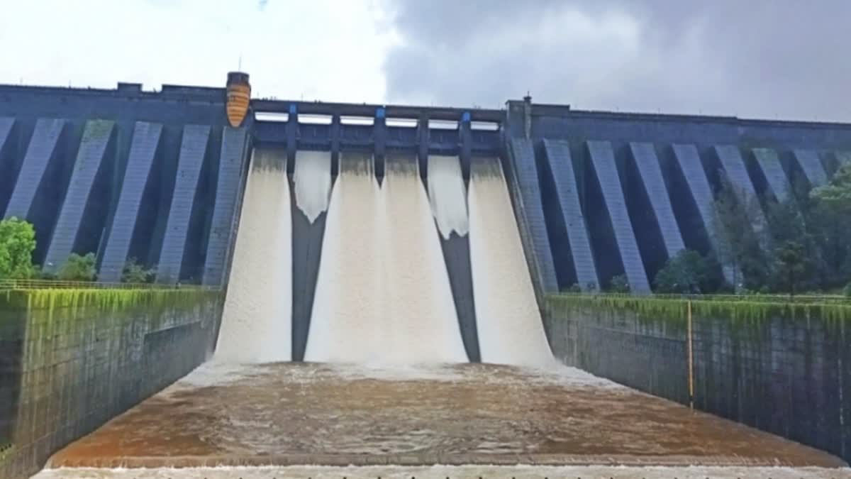 koyna dam