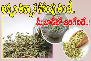 Health Benefits Of Fennel Seeds