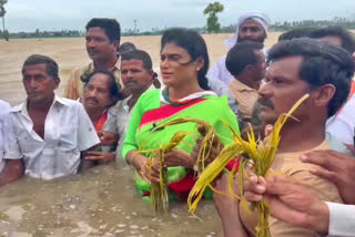 SHARMILA FIRE ON JAGAN