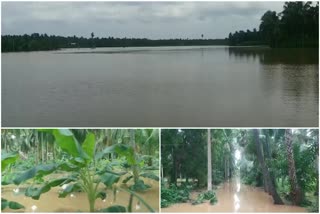 Godavari Floods in Dhavaleswaram