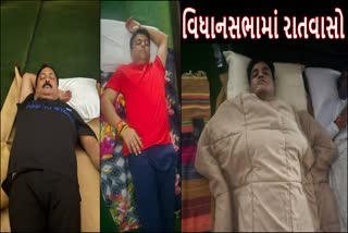 વિધાનસભામાં રાતવાસો