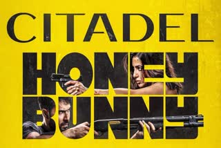 Citadel Honey Bunnuy