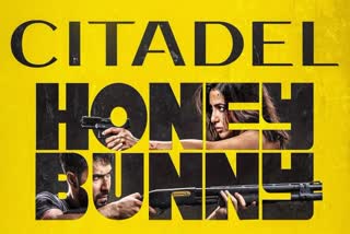 Citadel Honey Bunnuy Release Date