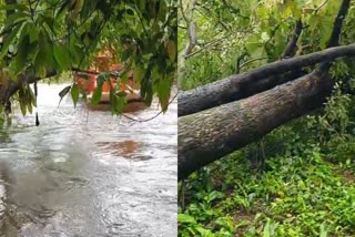 HEAVY RAIN IN KANNUR  കണ്ണൂരിൽ കനത്ത മഴയും കാറ്റും  RAIN UPDATES KERALA  കേരളത്തില്‍ കനത്ത മഴ