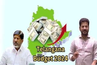 Telangana budget 2024