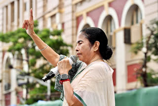 New Delhi Confirms Receiving of Diplomatic Note Of Protest From Bangladesh Over West Bengal CM's Comment