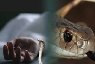 TWO MINOR CHILD DIED DUE TO SNAKE BITE IN BALANGIR