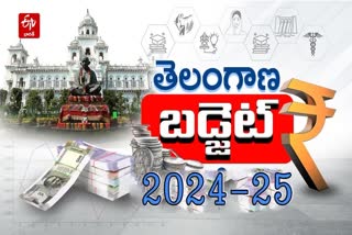 Telangana State 2024 Budget