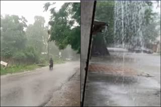 Heavy rain wreaks havoc in Gujarat