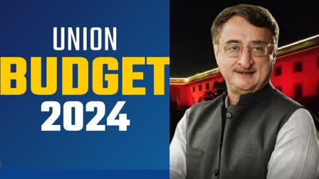 Vivek Tankha reaction Union Budget