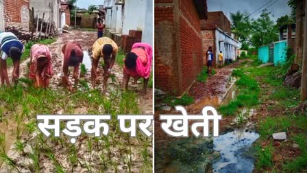 Farming on Road