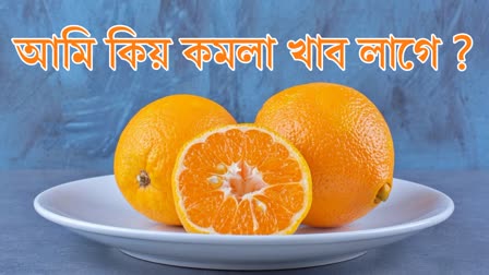 Oranges not only cure diseases but also boost immunity