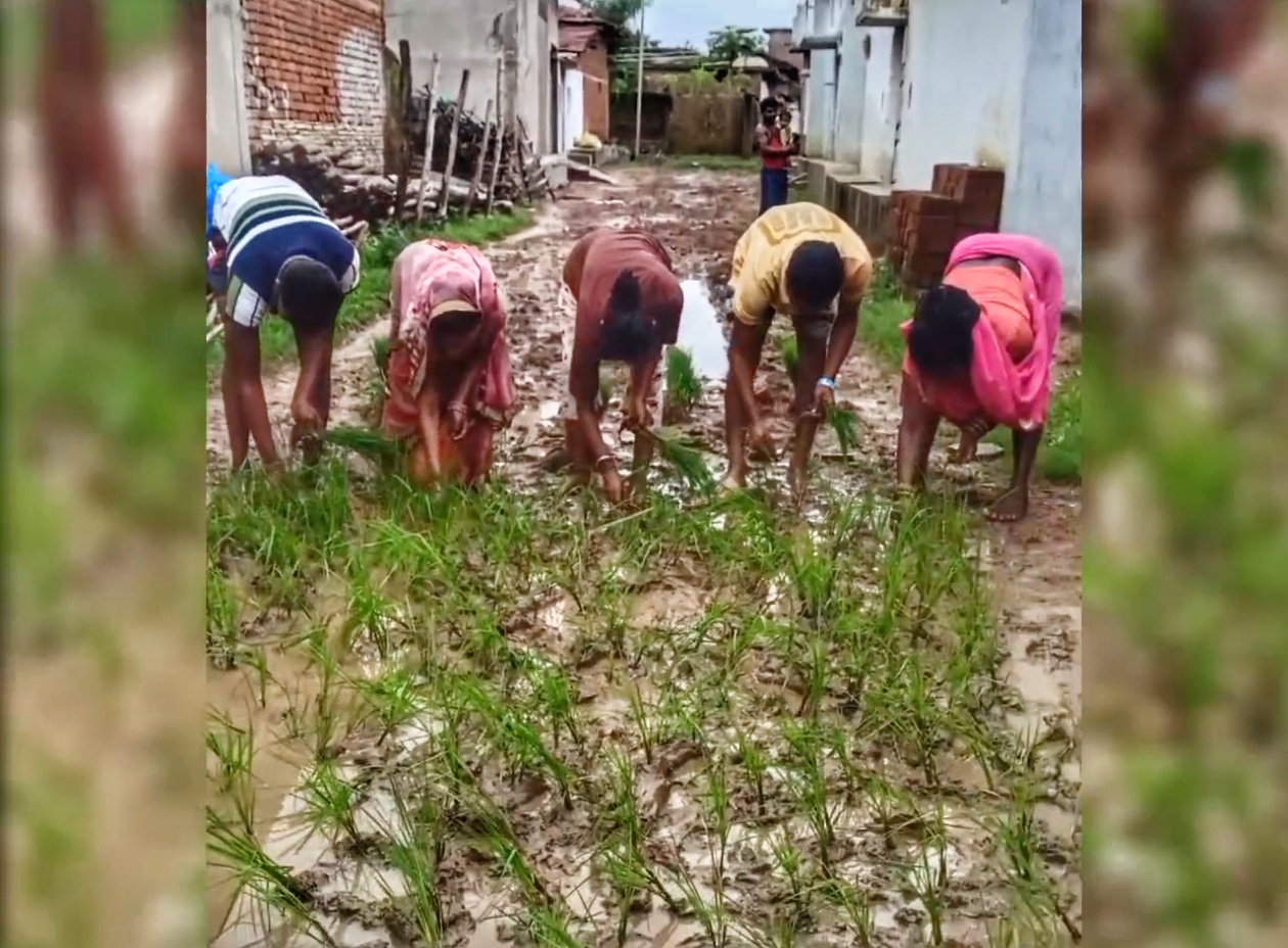 Chhattisgarh Unique protest