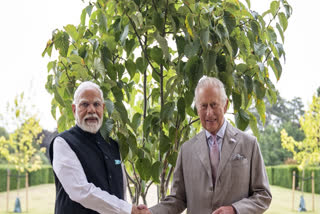 In this image posted by @PMOIndia via X on July 24, 2025, Prime Minister Narendra Modi presents a tree sapling as part of the 'Ek Ped Maa Ke Naam' environmental initiative to King Charles III during a meeting at the latters Sandringham Estate, in Norfolk, eastern England, UK.