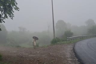 Heavy rain alert in Vidarbha today