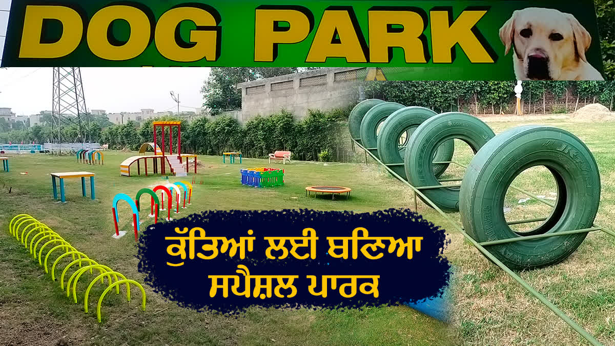 First Dogs Park In Ludhiana