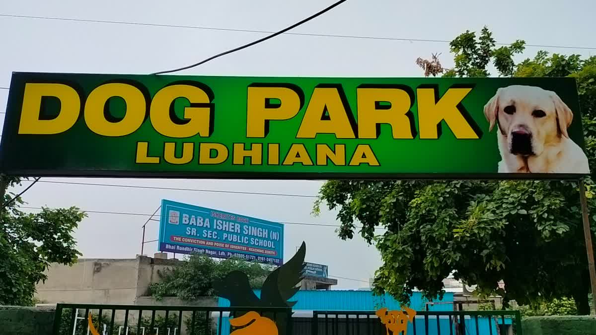 First Dog Park in North India