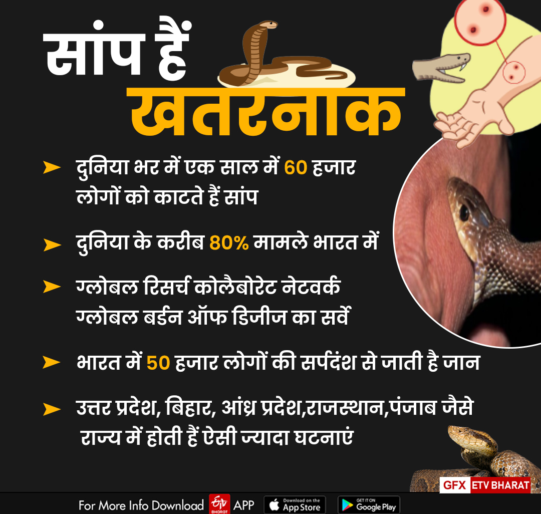 Uttarakhand Snakes Story