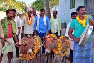 Donkeys Procession for Rain