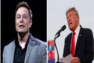 Elon Musk news