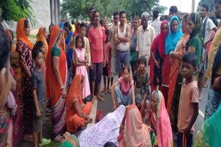 a-speeding-truck-ran-over-farmer-with-buffalo-due-which-died-spot