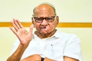 No Split in NCP Sharad Pawar  Sharad Pawar  No Split in NCP  NCP  Nationalist Congress Party  ശരദ് പവാർ  എൻസിപി പിളർന്നിട്ടില്ല  എൻസിപി  എൻസിപി പിളർന്നിട്ടില്ലെന്ന് ശരദ് പവാർ  നാഷണലിസ്‌റ്റ് കോൺഗ്രസ് പാർട്ടി