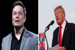 Musk reacts to Trump's return to X, says 'next-level'