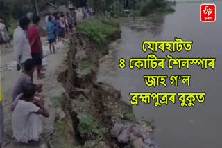 Boulder Pitching Collapse in Brahmaputra