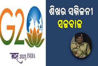 G-20 ଶିଖର ସମ୍ମିଳନୀ ପାଇଁ ଜୋରଦାର ପ୍ରସ୍ତୁତି