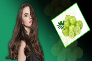 Amla for Hair Care News