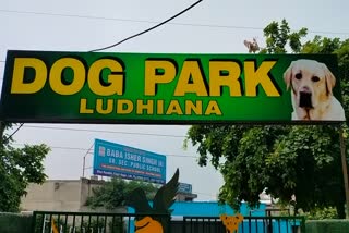 First Dog Park in North India