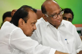 NCP CHIEF SHARAD PAWAR SAYS THERE IS NO CONFLICT THAT AJIT PAWAR IS OUR LEADER IN MAHARASHTRA