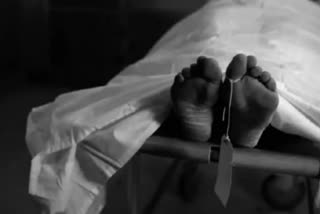 man-killed-after-deodar-tree-falls-on-him-in-kupwara