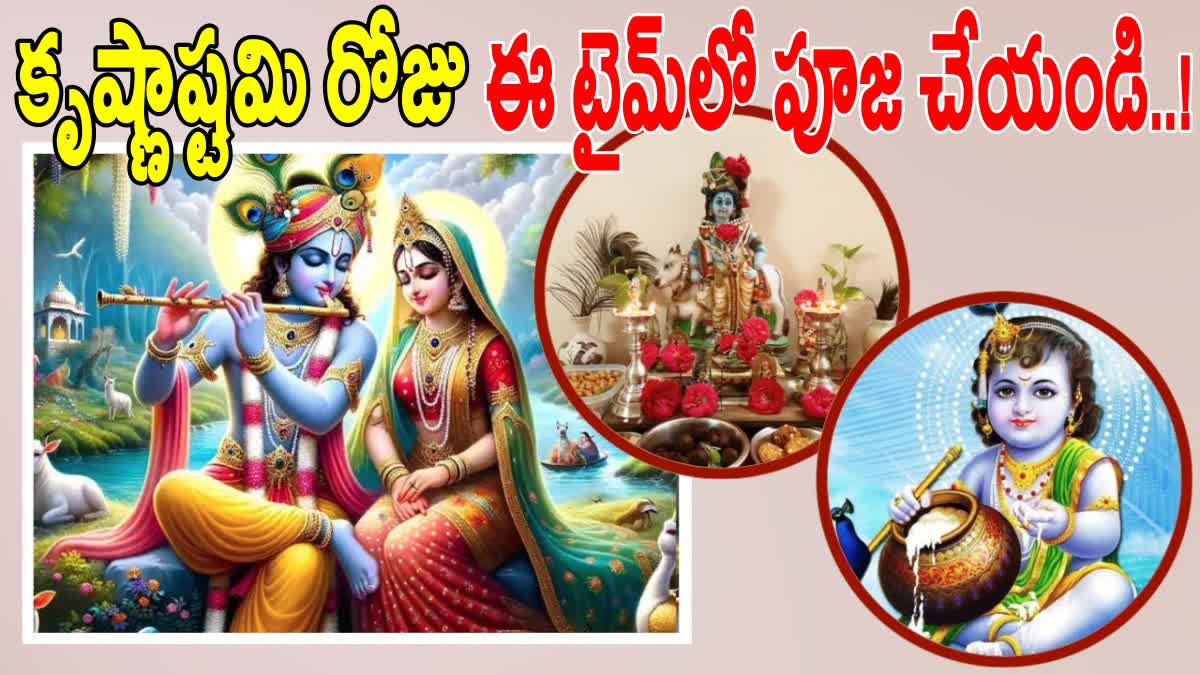 Krishna Janmashtami 2024 Puja Vidhi