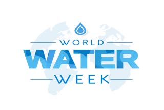 World Water Week