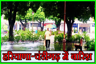 Rain in Chandigarh