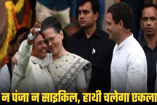 mayawati announcement no alliance with congress sp in election rahul gandhi sonia gandhi akhilesh yadav bsp uttar pradesh news