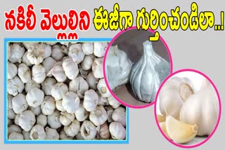 Tips To Identify Fake Garlic