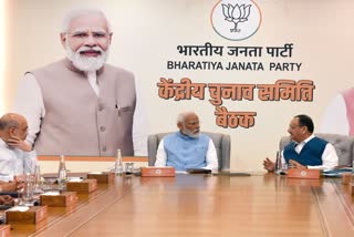 BJP CEC meeting regarding Jammu Kashmir and Haryana assembly elections