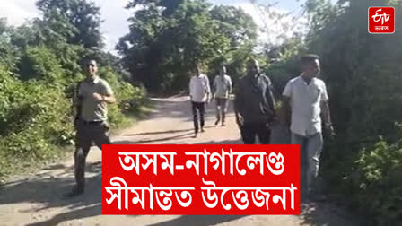 Reaction to Nagas building welcome gates on Assam's land