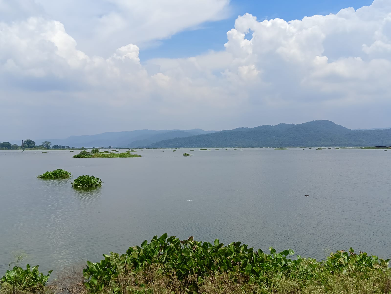 Deepor Beel Protection Forum urged the tourism department to adopt schemes on the model of Dal Lake in Kashmir