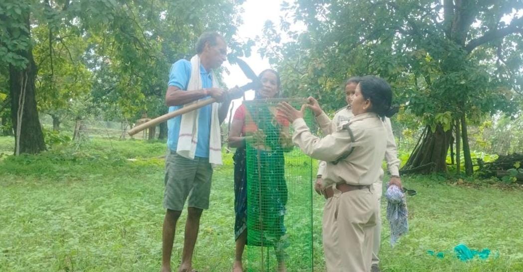 Villagers and forest workers protecting Mahua plants