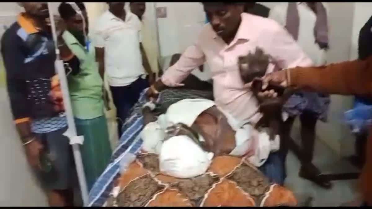 Farmer injured in elephant attack